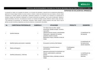 ESTRATEGIA DE EVALUACIÓN DEL APRENDIZAJE
La evaluación se realiza con el propósito de evidenciar, en la formación del estudiante, el desarrollo de las competencias profesionales y
genéricas de manera integral mediante un proceso continuo y dinámico, creando las condiciones en las que se aplican y articulan ambas
competencias en distintos espacios de aprendizaje y desempeño profesional. En el contexto de la evaluación por competencias es
necesario recuperar las evidencias de desempeño con diversos instrumentos de evaluación, como la guía de observación, bitácoras y
registros anecdóticos, entre otros. Las evidencias por producto, con carpetas de trabajos, reportes, bitácoras y listas de cotejo, entre otras.
Y las evidencias de conocimientos, con cuestionarios, resúmenes, mapas mentales y cuadros sinópticos, entre otras. Para lo cual se
aplicará una serie de prácticas integradoras que arroje las evidencias y la presentación del portafolio.
MÓDULO II
IDENTIFICA MICROORGANISMOS CON BASE EN TÉCNICAS MICROBIOLÓGICAS PARA DIAGNÓSTICO CLÍNICO
No. COMPETENCIAS PROFESIONALES SUBMÓDULO SITUACIONES PRODUCTO DESEMPEÑO
1 Identifica bacterias 1
Con base al tipo de cultivo: vaginal,
secreciones, exudado faríngeo, urocultivo,
coprocultivo
Utilizando técnicas manual y automatizadas
Observando y reportando los cambios
presentes durante el proceso
Manteniendo limpia y ordenada su área de
trabajo
La identificación de
las bacterias
2 Identifica bacilos acido alcohol resistentes 1 De acuerdo a la técnica Ziehl-Neelsen
La identificación de
los bacilos acido
alcohol resistentes
3 Realiza antibiograma 1
De acuerdo a la técnica manual y
automatizada
El antibiograma
realizado
4 Identifica protozoarios y helmintos 2
Aplicando las técnicas de concentración por
flotación, sedimentación y exámenes
directos
Manteniendo limpia y ordenada su área de
trabajo
La identificación de
protozoarios y
helmintos
25
 
