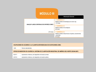// SUBMÓDULO 1
Realiza análisis hematológicos de serie roja
112 horas
// SUBMÓDULO 2
Realiza análisis inmunológicos
96 horas
// SUBMÓDULO 3
Realiza análisis citoquímicos a líquidos y secreciones
corporales
64 horas
272 horas
ANALIZA FLUIDOS CORPORALES DE INTERÉS CLÍNICO
Información General
MÓDULO III
OCUPACIONES DE ACUERDO A LA CLASIFICACIÓN MEXICANA DE OCUPACIONES (CMO)
1230 Técnico laboratorista
SITIOS DE INSERCIÓN DE ACUERDO AL SISTEMA DE CLASIFICACIÓN INDUSTRIAL DE AMÉRICA DEL NORTE (SCIAN-2007)
621511 Laboratorios médicos y de diagnóstico del sector privado
621512 Laboratorios médicos y de diagnóstico del sector público
 