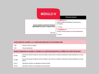 // SUBMÓDULO 1
Realiza análisis hematológicos de serie blanca y
hemostasia
112 horas
// SUBMÓDULO 2
Analiza y fracciona sangre con fines transfusionales
80 horas
192 horas
ANALIZA SANGRE CON BASE EN TÉCNICAS
INMUNOHEMATOLÓGICAS Y HEMOSTÁTICAS
Información General
MÓDULO IV
OCUPACIONES DE ACUERDO A LA CLASIFICACIÓN MEXICANA DE OCUPACIONES (CMO)
1220 Técnico en banco de sangre
1230 Técnico laboratorista
SITIOS DE INSERCIÓN DE ACUERDO AL SISTEMA DE CLASIFICACIÓN INDUSTRIAL DE AMÉRICA DEL NORTE (SCIAN-2007)
621991
Servicios de bancos de órganos, bancos de sangre y otros servicios auxiliares al tratamiento médico prestados por el sector
privado
621992
Servicios de bancos de órganos, bancos de sangre y otros servicios auxiliares al tratamiento médico prestados por el sector
público
621511 Laboratorios médicos y de diagnóstico del sector privado
621512 Laboratorios médicos y de diagnóstico del sector público
 