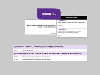 // SUBMÓDULO 1
Analiza sangre con base en técnicas de química clínica
112 horas
// SUBMÓDULO 2
Analiza sangre mediante pruebas hormonales,
toxicológicas y de marcadores tumorales
80 horas
192 horas
ANALIZA SANGRE CON BASE EN TÉCNICAS DE QUÍMICA
CLÍNICA Y PRUEBAS ESPECIALES
Información General
MÓDULO V
OCUPACIONES DE ACUERDO A LA CLASIFICACIÓN MEXICANA DE OCUPACIONES (CMO)
1230 Técnico laboratorista
SITIOS DE INSERCIÓN DE ACUERDO AL SISTEMA DE CLASIFICACIÓN INDUSTRIAL DE AMÉRICA DEL NORTE (SCIAN-2007)
621511 Laboratorios médicos y de diagnóstico del sector privado
621512 Laboratorios médicos y de diagnóstico del sector público
 