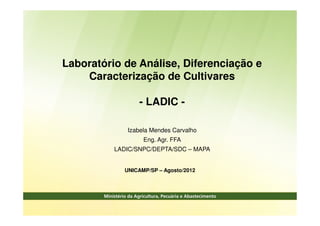 Laboratório de Análise, Diferenciação e
Caracterização de Cultivares
- LADIC -
UNICAMP/SP – Agosto/2012
Izabela Mendes Carvalho
Eng. Agr. FFA
LADIC/SNPC/DEPTA/SDC – MAPA
 