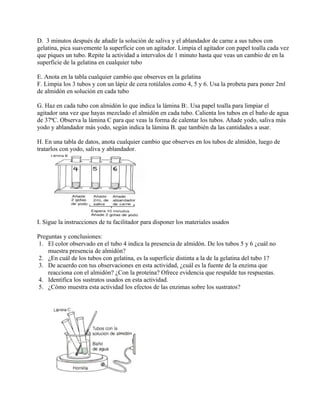 Laboratorio de enzimas | PDF