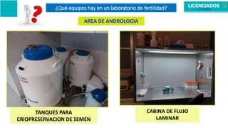 ¿Qué equipos hay en un laboratorio de fertilidad?
AREA DE ANDROLOGIA
TANQUES PARA
CRIOPRESERVACION DE SEMEN
CABINA DE FLUJO
LAMINAR
 