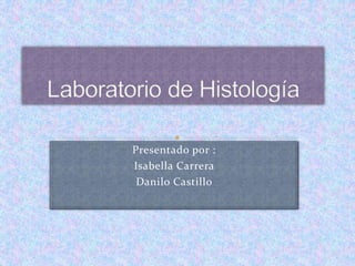 Presentado por :
Isabella Carrera
Danilo Castillo
 