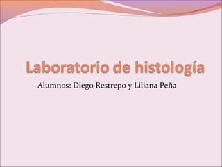 Alumnos: Diego Restrepo y Liliana Peña
 
