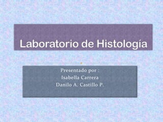 Presentado	
  por	
  :	
  	
  
Isabella	
  Carrera	
  	
  
Danilo	
  A.	
  Castillo	
  P.	
  	
  
 