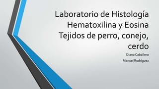 Laboratorio de Histología
Hematoxilina y Eosina
Tejidos de perro, conejo,
cerdo
Diana Caballero
Manuel Rodríguez
 