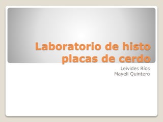 Laboratorio de histo
placas de cerdo
Leivides Ríos
Mayeli Quintero
 