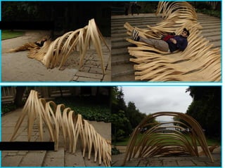 determinación de función y emplazamiento