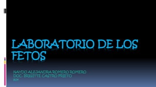LABORATORIO DE LOS
FETOS
NAYDU ALEJANDRA ROMERO ROMERO
DOC. BRIGITTE CASTRO PRIETO
804
 
