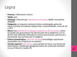 Lepra
• Proceso: inflamación crónica
• Tejido: piel
• Etiología: infección por mycobacterium leprae, BAAR, intracelular
  obligado
• Patogenia: se requiere contacto íntimo y prolongado, gotas de
  saliva, torrente circulatorio-tejidos fríos- y extremidades, crece de 32
  a 34°C
• Micro: hay pérdida de los pliegues papilares y de los anexos, ahora
  ocupados por granulomas hay disminución de la epidermis y en la
  dermis hay infiltrado inflamatorio crónico perivascular, perineural y
  perianexial, hay aumento de la colágena
• Célula Característica: célula de Virchow (macrófagos espumosos
  vacuolados con el bacilo en su interior)
• Tinción especial: Fitte faraco, que consiste en hacer una tinción de
  Ziehl Nielsen modificado agregando Aceite de cacahuate (también
  se usa el Munch y Sudán III)
 