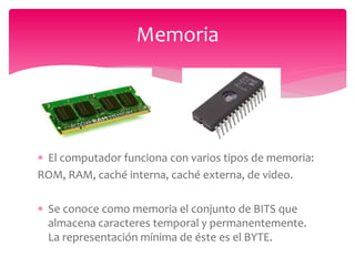  El computador funciona con varios tipos de memoria:
ROM, RAM, caché interna, caché externa, de video.
 Se conoce como memoria el conjunto de BITS que
almacena caracteres temporal y permanentemente.
La representación mínima de éste es el BYTE.
Memoria
 