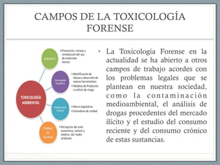 CAMPOS DE LA TOXICOLOGÍA
FORENSE
•  La Toxicología Forense en la
actualidad se ha abierto a otros
campos de trabajo acordes con
los problemas legales que se
plantean en nuestra sociedad,
c o m o l a c o n t a m i n a c i ó n
medioambiental, el análisis de
drogas procedentes del mercado
ilícito y el estudio del consumo
reciente y del consumo crónico
de estas sustancias.
 