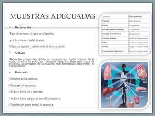 MUESTRAS ADECUADAS
•  Recolección:
Tipo de veneno de que se sospecha.
Vía de absorción del tóxico.
Carácter agudo o crónico de la intoxicación
•  Sellado :
Todos los recipientes deben ser cerrados en forma segura. Si se
trata de tóxicos volátiles conviene tomarlos bajo una capa de
parafina. o cerrarlos de la manera más hermética para evitar su
evaporación
•  Rotulado:
Nombre de la víctima.
Número de autopsia.
Fecha y hora de la muerte.
Fecha y hora en que se tomó la muestra.
Nombre de quien tomó la muestra
 