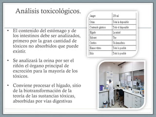 Análisis toxicológicos.
•  El contenido del estómago y de
los intestinos debe ser analizados,
primero por la gran cantidad de
tóxicos no absorbidos que puede
existir.
•  Se analizará la orina por ser el
riñón el órgano principal de
excreción para la mayoría de los
tóxicos.
•  Conviene procesar el hígado, sitio
de la biotransformación de la
teoría de las sustancias tóxicas,
absorbidas por vías digestivas
 