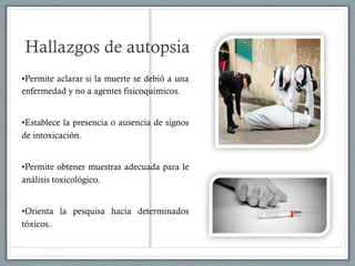 Hallazgos de autopsia
•Permite aclarar si la muerte se debió a una
enfermedad y no a agentes fisicoquímicos.
•Establece la presencia o ausencia de signos
de intoxicación.
•Permite obtener muestras adecuada para le
análisis toxicológico.
•Orienta la pesquisa hacia determinados
tóxicos.
 