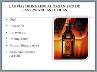 LAS VÍAS DE INGRESO AL ORGANISMO DE
LAS SUSTANCIAS TOXICAS
•  Oral
•  Inhalación
•  Intravenoso
•  Intramuscular
•  Mucosa (boca y ojos)
•  Absorción cutánea
(la piel)
 