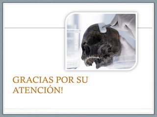 GRACIAS POR SU
ATENCIÓN!
 