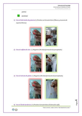 LaboratoriodeToxicología
Intoxicaciónpor Hidróxidode Potasio
5to de Bioquímica y Farmacia “A”
“Todo es veneno, nada es veneno. Todo depende de la dosis.”
Página4
ANTES
DESPUES
1) Con el hidróxidodepotasio:(+)Positivo no Característico (Blanco,presenciade
espumablanca).
2) Con el sulfatode zinc:(-) Negativo (No hubo formaciónde precipitado).
3) Con el nitratode plata:(-) Negativo (No hubo formacióndeprecipitado).
4) Con el Ácidotartárico:(+) Positivo Característico (Coloracióncafé).
 
