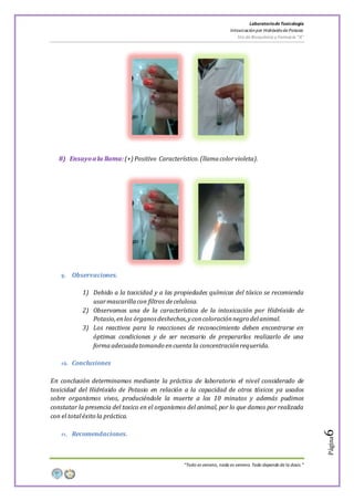 LaboratoriodeToxicología
Intoxicaciónpor Hidróxidode Potasio
5to de Bioquímica y Farmacia “A”
“Todo es veneno, nada es veneno. Todo depende de la dosis.”
Página6
8) Ensayoa la llama:(+) Positivo Característico. (llamacolorvioleta).
9. Observaciones.
1) Debido a la toxicidad y a las propiedades químicas del tóxico se recomienda
usarmascarillacon filtros decelulosa.
2) Observamos una de la característica de la intoxicación por Hidróxido de
Potasio,enlos órganos deshechos,yconcoloraciónnegro delanimal.
3) Los reactivos para la reacciones de reconocimiento deben encontrarse en
óptimas condiciones y de ser necesario de prepararlos realizarlo de una
formaadecuadatomando encuenta la concentraciónrequerida.
10. Conclusiones
En conclusión determinamos mediante la práctica de laboratorio el nivel considerado de
toxicidad del Hidróxido de Potasio en relación a la capacidad de otros tóxicos ya usados
sobre organismos vivos, produciéndole la muerte a los 10 minutos y además pudimos
constatar la presencia del toxico en el organismos del animal, por lo que damos por realizada
con el totaléxito la práctica.
11. Recomendaciones.
 