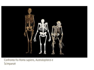 Confronto fra Homo sapiens, Australopiteco e
Scimpanzè
 