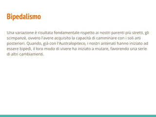 Bipedalismo
Una variazione è risultata fondamentale rispetto ai nostri parenti più stretti, gli
scimpanzè, ovvero l'avere acquisito la capacità di camminare con i soli arti
posteriori. Quando, già con l'Australopiteco, i nostri antenati hanno iniziato ad
essere bipedi, il loro modo di vivere ha iniziato a mutare, favorendo una serie
di altri cambiamenti.
 