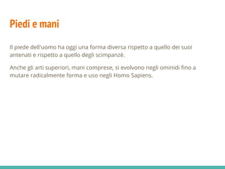 Piedi e mani
Il piede dell'uomo ha oggi una forma diversa rispetto a quello dei suoi
antenati e rispetto a quello degli scimpanzè.
Anche gli arti superiori, mani comprese, si evolvono negli ominidi fino a
mutare radicalmente forma e uso negli Homo Sapiens.
 
