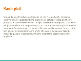 Mani e piedi
Se guardiamo all'evoluzione degli arti, già con l'Homo habilis possiamo
osservare come i piedi sembrino aver perso il pollice prensile, perché nel
processo di specializzazione non sarà più necessario arrampicarsi sugli alberi
per garantire la propria sopravvivenza. Al contrario le mani acquisiranno uno
strumento fondamentale che sarà il pollice opponibile, con cui l'uomo potrà
non solamente arrampicarsi, ma anche afferrare e manipolare oggetti,
iniziando quindi a modificare l'ambiente circostante secondo le proprie
esigenze.
 
