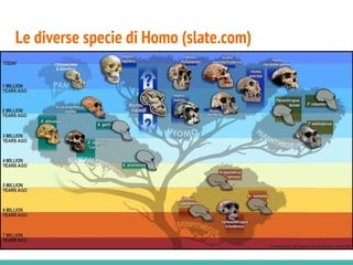 Le diverse specie di Homo (slate.com)
 