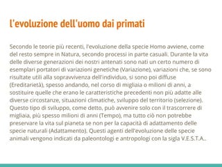 l'evoluzione dell'uomo dai primati
Secondo le teorie più recenti, l'evoluzione della specie Homo avviene, come
del resto sempre in Natura, secondo processi in parte casuali. Durante la vita
delle diverse generazioni dei nostri antenati sono nati un certo numero di
esemplari portatori di variazioni genetiche (Variazione), variazioni che, se sono
risultate utili alla sopravvivenza dell'individuo, si sono poi diffuse
(Ereditarietà), spesso andando, nel corso di migliaia o milioni di anni, a
sostituire quelle che erano le caratteristiche precedenti non più adatte alle
diverse circostanze, situazioni climatiche, sviluppo del territorio (selezione).
Questo tipo di sviluppo, come detto, può avvenire solo con il trascorrere di
migliaia, più spesso milioni di anni (Tempo), ma tutto ciò non potrebbe
preservare la vita sul pianeta se non per la capacità di adattamento delle
specie naturali (Adattamento). Questi agenti dell'evoluzione delle specie
animali vengono indicati da paleontologi e antropologi con la sigla V.E.S.T.A..
 
