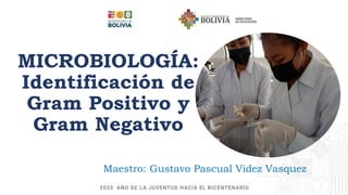 MICROBIOLOGÍA:
Identificación de
Gram Positivo y
Gram Negativo
Maestro: Gustavo Pascual Videz Vasquez
 