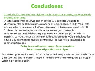 Conclusiones
Respecto al gasto realizado con HCl al titular se deduce que mientras más estabilizada
y estructurada esta la proteína, mayor cantidad de volumen se requiere para lograr
variar el pH de la solución.
En la titulación, mientras más rápido cambie de color la muestra, menos poder de
amortiguación tiene.
En la tabla podemos observar que en el tubo 1, la cantidad utilizada de
Miliequivalentes de HCl es mucho mayor en el suero sanguíneo (0,05 Meq), esto
indica que las proteínas en solución actúan como un buen amortiguador de pH.
En el caso del suero desproteinizado se obtuvo un gasto menor de
Miliequivalentes de HCl debido a que ya no esta el poder tamponaste de las
proteínas. La muestra que gasto menos Miliequivalentes de HCl para titularse fue
el tubo 5 que contiene la muestra control (H2o) lo cual refleja la ausencia de
poder amortiguador.
Poder de amortiguación mayor: Suero sanguíneo
Poder de amortiguación menor: Agua
 