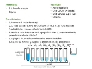 Materiales:
• 9 tubos de ensayo
• Pipeta
Procedimientos:
• 1. Enumerar 9 tubos de ensayo
• 2. Al tubo 1 añadir 3,2 mL de CH3COOH 1N y 6,8 mL de H2O destilada
• 3. A los 8 tubos restantes añadir 5 mL de H2O
• 4. Desde el tubo 1 obtener 5 mL, agregarlo al tubo 2, continuar con este
procedimiento hasta el tubo 9
• 5. Agregar 1 mL de solución de caseína a todos los tubos
• 6. Esperar 30 minutos y registrar la presencia o no de precipitado
Reactivos:
• Agua destilada
• CH3-COOH 1N (ácido)
• CH3-COONa 0,1 N (Sal)
• Caseína
 