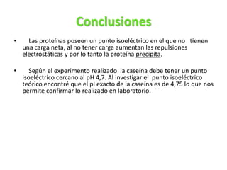 Conclusiones
• Las proteínas poseen un punto isoeléctrico en el que no tienen
una carga neta, al no tener carga aumentan las repulsiones
electrostáticas y por lo tanto la proteína precipita.
• Según el experimento realizado la caseína debe tener un punto
isoeléctrico cercano al pH 4,7. Al investigar el punto isoeléctrico
teórico encontré que el pI exacto de la caseína es de 4,75 lo que nos
permite confirmar lo realizado en laboratorio.
 