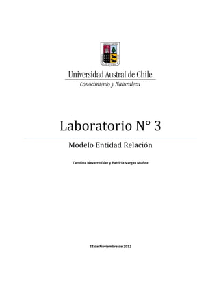 Laboratorio N° 3
 Modelo Entidad Relación

  Carolina Navarro Díaz y Patricia Vargas Muñoz




            22 de Noviembre de 2012
 