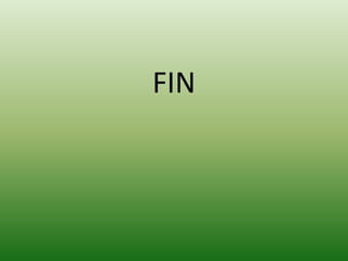 FIN