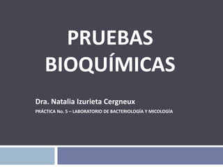 PRUEBAS 
BIOQUÍMICAS 
Dra. Natalia Izurieta Cergneux 
PRÁCTICA No. 5 – LABORATORIO DE BACTERIOLOGÍA Y MICOLOGÍA 
 