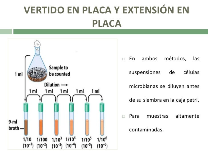 Laboratorio no. 3 técnicas de inoculación