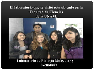 El laboratorio que se visitó esta ubicado en la
            Facultad de Ciencias
                de la UNAM.




    Laboratorio de Biología Molecular y
                   Genómica.
 