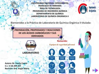 UNIVERSIDAD NACIONAL EXPERIMENTAL
FRANCISCO DE MIRANDA
ÁREA DE TECNOLOGÍA
PROGRAMA DE INGENIERÍA QUÍMICA
DEPARTAMENTO DE QUÍMICA
LABORATORIO DE QUÍMICA ORGÁNICA II
Bienvenidos a la Práctica de Laboratorio de Química Orgánica II titulada:
PREPARACIÓN, PROPIEDADES Y REACCIONES
DE LOS ÁCIDOS CARBOXÍLICOS Y SUS
DERIVADOS
Equipos de seguridad personal
Recuerda:
LABORATORIO
Autora: Br. Ynesly Castro
C.I.: V-26.309.357
Revisión: Dra. Angie Marín
 