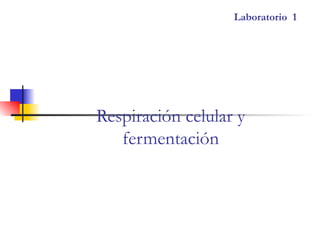 Laboratorio 1




Respiración celular y
   fermentación
 