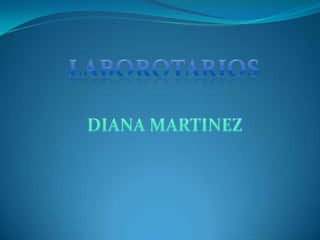 LABOROTARIOS DIANA MARTINEZ 