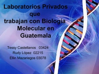 Laboratorios Privados que  trabajan con Biología  Molecular en Guatemala Tessy Castellanos  03424 Rudy López  02215 Ellin Mazariegos 03078 