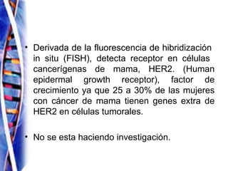 <ul><li>Derivada de la fluorescencia de hibridización  in situ (FISH), detecta receptor en células  cancerígenas de mama, ...