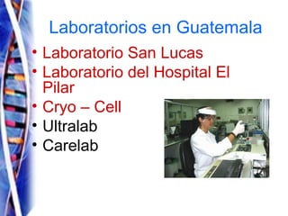 Laboratorios en Guatemala <ul><li>Laboratorio San Lucas </li></ul><ul><li>Laboratorio del Hospital El Pilar </li></ul><ul>...