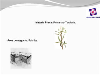 Materia Prima:  Primaria y Terciaria. Área de negocio:  Fabriles. 