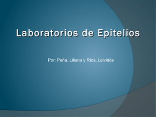 Laboratorios de EpiteliosLaboratorios de Epitelios
Por: Peña, Liliana y Ríos, Leividés
 