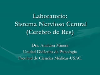 Laboratorio:
Sistema Nervioso Central
    (Cerebro de Res)
        Dra. Analuisa Minera
   Unidad Didáctica de Psicología
 Facultad de Ciencias Médicas-USAC.
 
