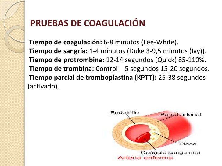 Laboratorios pre operatorios