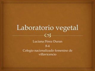 Luciana Pérez Duran
8-4
Colegio nacionalizado femenino de
villavicencio
 